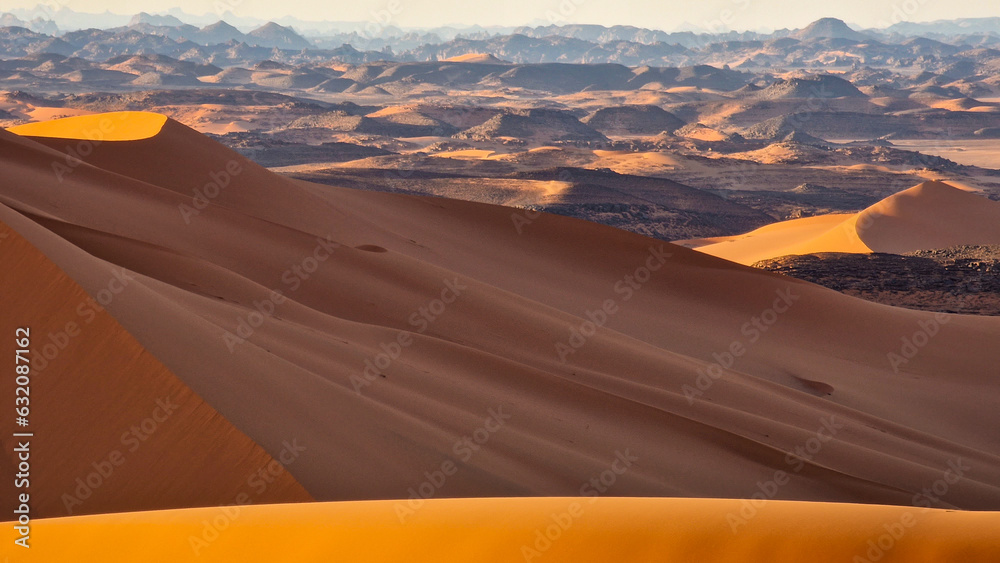 Fototapeta premium Sand dunes in the desert 