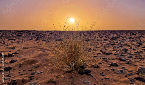 Sahara desert in Mauritania at sunset 