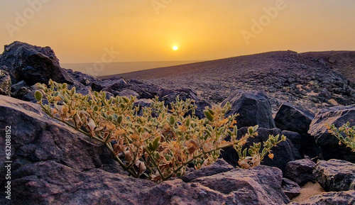 mauritania sunset in the sahara desert  photo