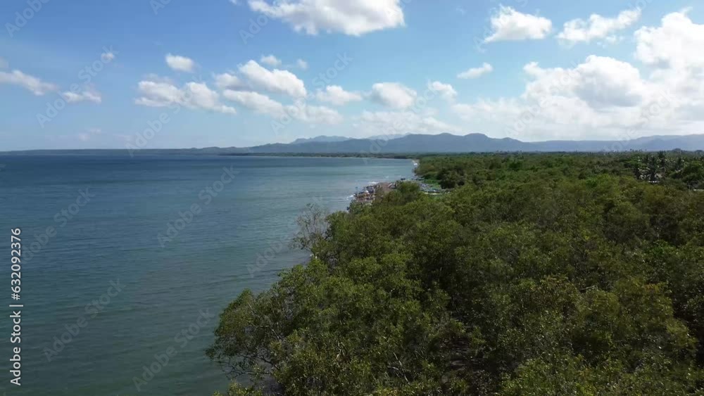 Mangrove trees grow at the side of the sea in a small fishing village. Drone aerialGreenery sight Mangrove trees grow at the side of the sea in a small fishing village. Drone aerialGreenery sight