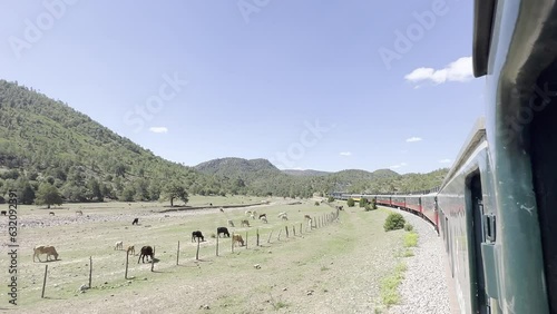 Tren chepe Chihuahua viajando por la ssierra Tarahumara photo