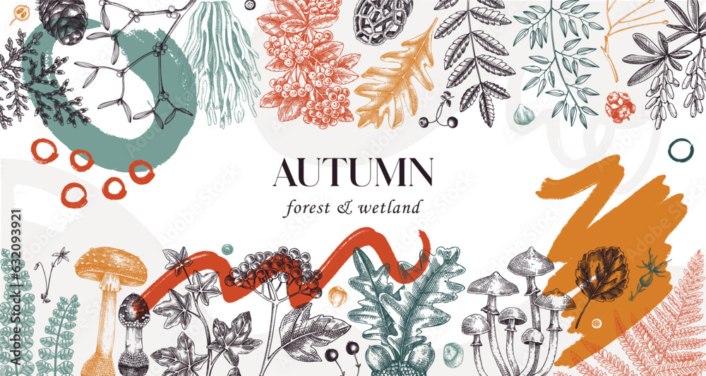 Hand drawn autumn forest background. Collage style banner with ferns, mushrooms, fall leaves and autumn plant sketches. Trendy botanical design template with abstract elements, geometric shapes