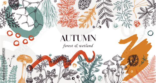 Hand drawn autumn forest background. Collage style banner with ferns, mushrooms, fall leaves and autumn plant sketches. Trendy botanical design template with abstract elements, geometric shapes