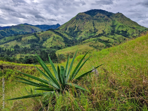 Morobe Province in Papua New Guinee landscape 