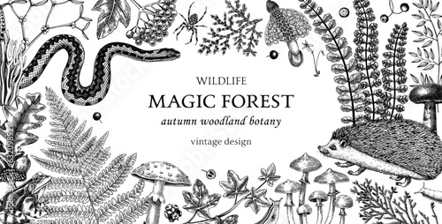Vintage frame with woodland animals, ferns, mushrooms, fall leaves, berries and autumn plant sketches. Botanical design template in engraved style. Hand drawn autumn forest background for print.