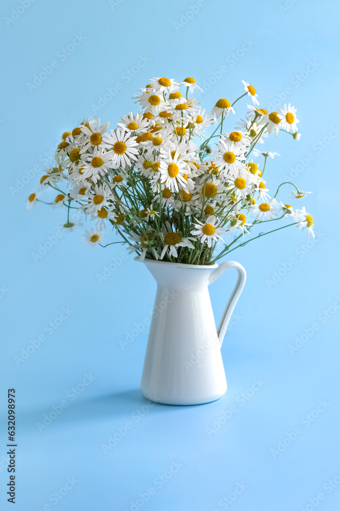 Bouquet of Chamomile in a white vase on a blue background. Postcard. Photo