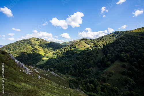 Summer landscape in the mountains of Navarra, Pyrenees, Spain