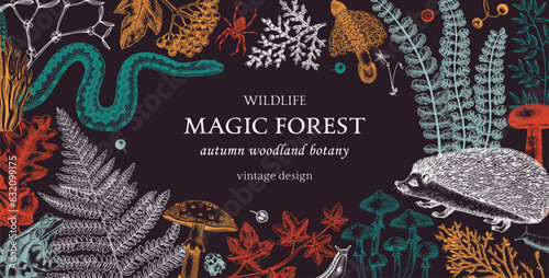 Vintage frame with woodland animals, ferns, mushrooms, fall leaves, berries and autumn plant sketches. Botanical design template in color. Hand drawn autumn forest background for print.