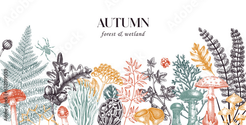 Hand drawn autumn forest background with ferns, mushrooms, fall leaves, berries and autumn plant sketches. Vintage botanical design template. Natural banner, print. Woodlands vector illustration.
