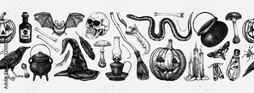 Vintage Halloween vector border. Skull, bones, pumpkin, poisonous mushrooms, snakes, raven sketches. Hand drawn witchcraft background. Seamless pattern for magic design, decoration, print