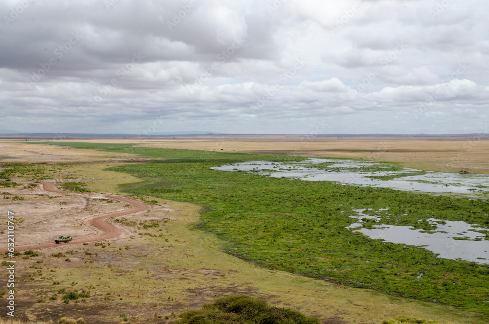 parc national d'Amboseli, Kenya, Afrique de l'Est