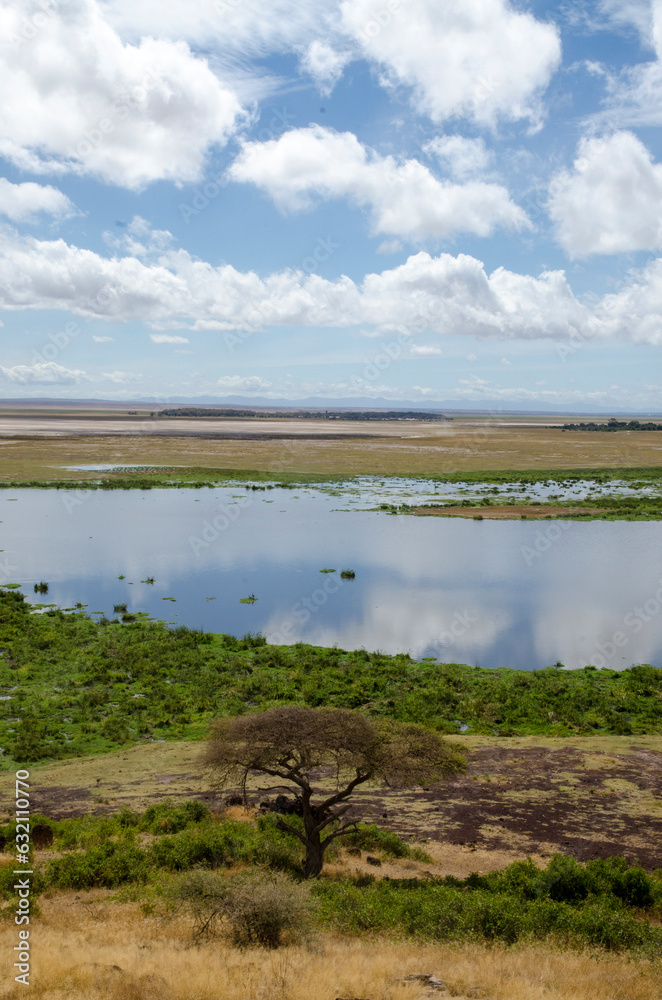 parc national d'Amboseli, Kenya, Afrique de l'Est