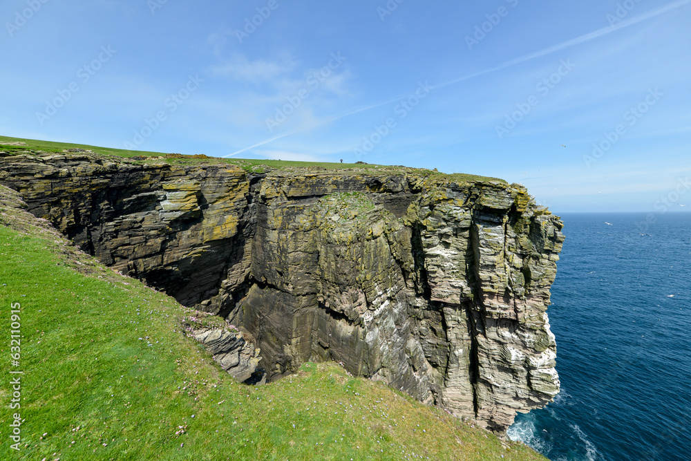 Ile Noss,  National Nature Reserve, Iles Shetland, Ecosse, Grande Bretagne