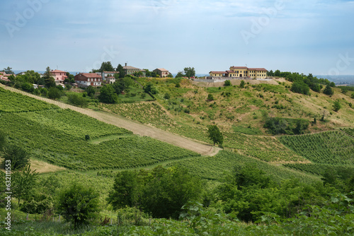 Hills of Oltrepo Pavese at June. Vineyards
