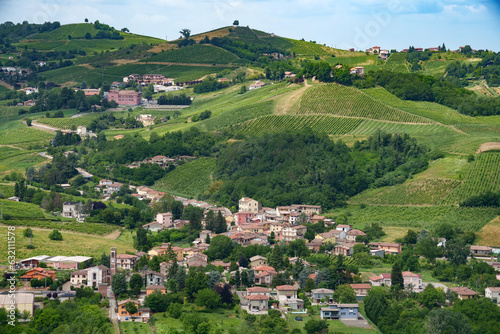 Hills of Oltrepo Pavese at June. Vineyards