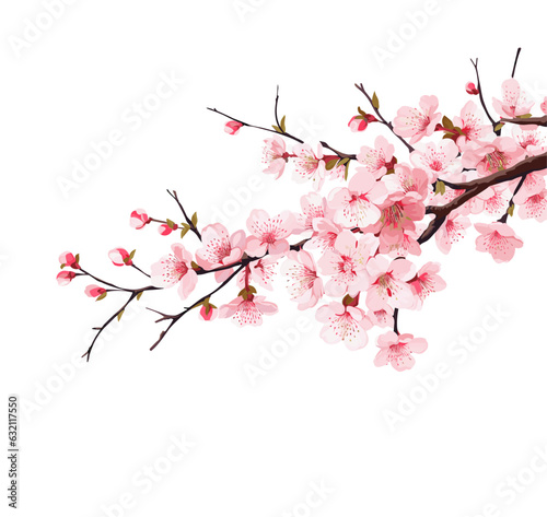 Branch with flowers. Japanese tree. Sakura. Vector illustration isolated on white