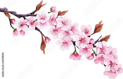 Branch with flowers. Japanese tree. Sakura. Vector illustration isolated on white