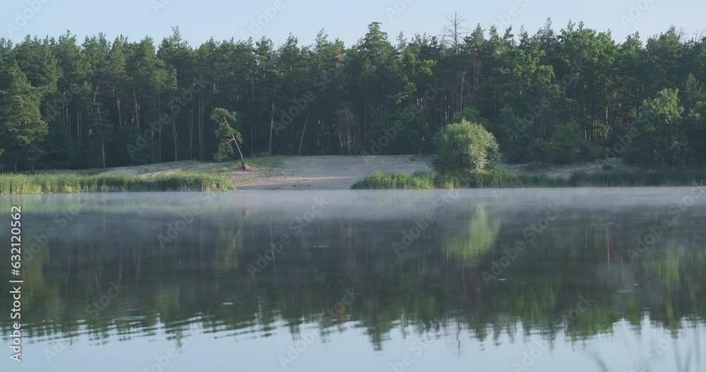 Surface of water, lake in forest, among tall pine trees. Reflection of sky, small wild beach in middle of forest. Surface of water, lake in forest, among tall pine trees. Reflection of sky, small wild beach in middle of forest.