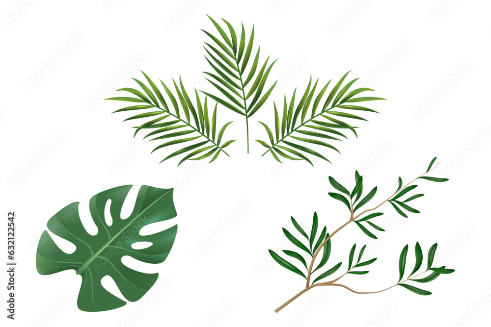 Set of tropical different types of exotic leaves. Realistic vector illustration isolated on white background