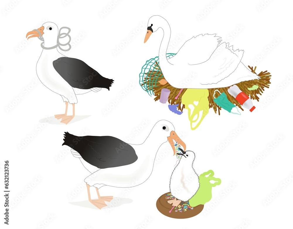 A set of three plastic pollution illustration of a swan in a nest with plastic litter, a albatross with plastic entangled around neck & beak and a albatross feeding its chick plastic. A set of three plastic pollution illustration of a swan in a nest with plastic litter, a albatross with plastic entangled around neck & beak and a albatross feeding its chick plastic.