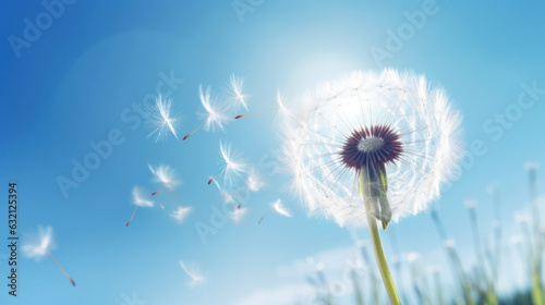 Closeup photo view of Dandelion seed flying in blue sky