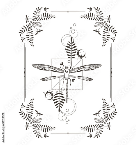 Celestial floral dragonfly, fern leaves and moon clipart in black color silhouette, mystical space insect with ornate botanical frame in vector, unreal hand drawn isolated t-shirt or tattoo design