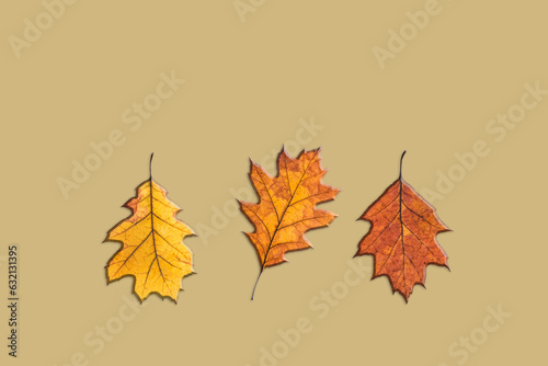 Leaves in warm fall colors like orange  yellow and red. One leaf changed position. Isolated on a mustard background.Minimalism composition. Flat lay  top view. 
