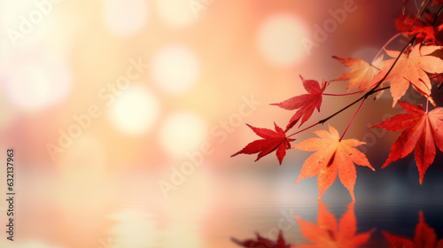 Web banner design for autumn season