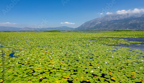 The lake is covered with lotus flowers. Civril - Isikli lake - Turkey