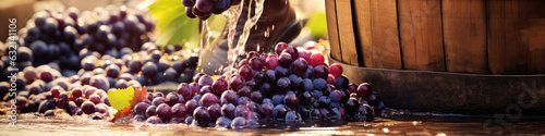 Winemaking Process, Crushing Grapes Underfoot In Wooden Barrel. Panoramic Banner