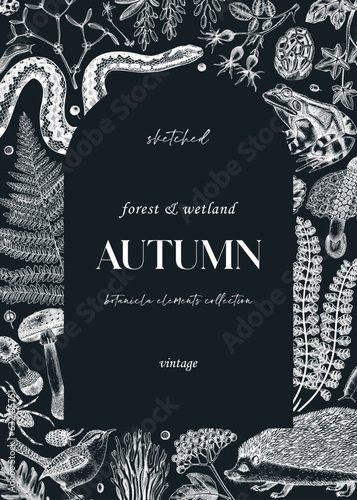 Autumn background on chalkboard. Vintage greeting card and invitation design template. Hand-drawn forest plants, fall leaves, mushrooms, ferns, woodland animals sketches.