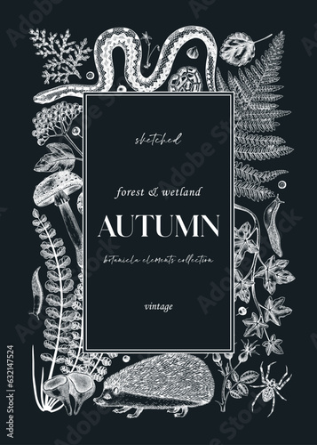 Forest frame on chalkboard. Hand-drawn autumn plants, fall leaves, mushrooms, ferns, woodland animals sketches. Decorative autumn background in vintage style for banner, print, greeting card, invite