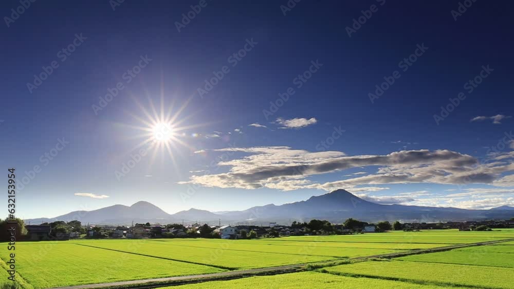 青空の下の鳥取県の伯耆大山と稲の緑が美しい夏の田園風景