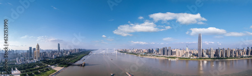 Aerial photography in Wuhan Urban Architectural Skyrim Panorama
