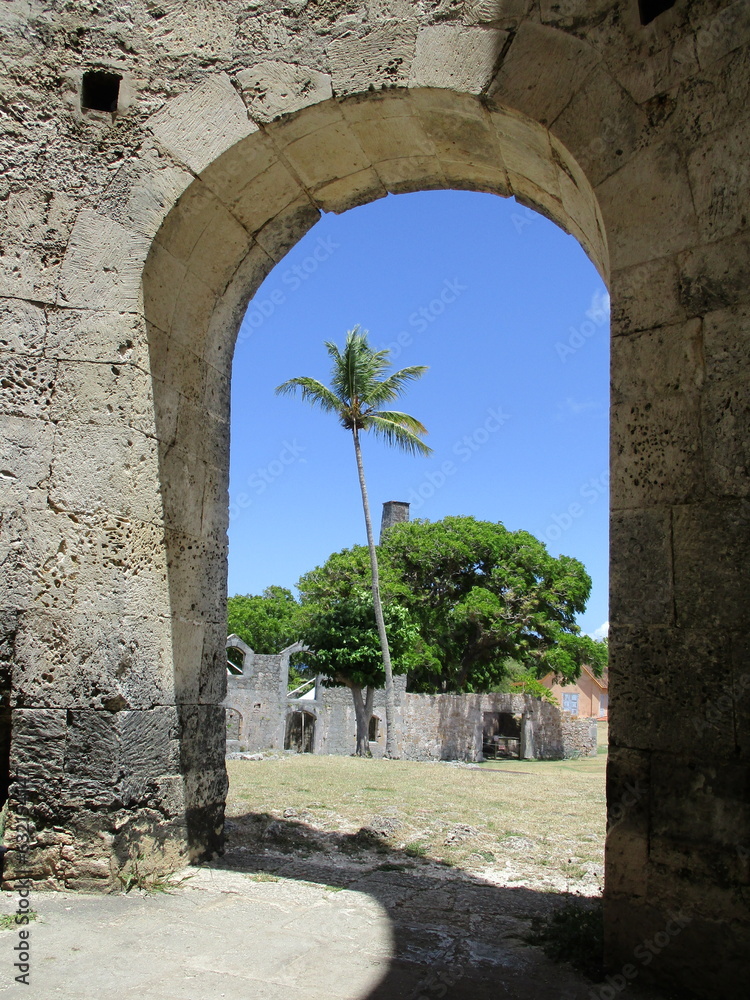Un palmier derrière l'arche