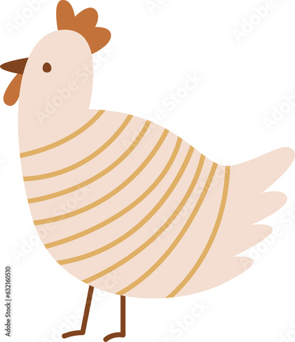 Chicken Domestic Bird