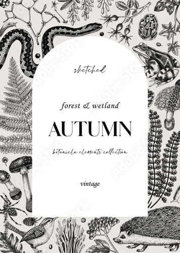 Forest frame. Hand-drawn autumn plants, fall leaves, mushrooms, ferns, woodland animals sketches. Decorative autumn background in vintage style for banner, print, vector greeting card and invitation