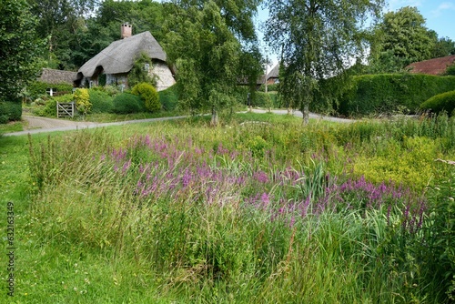 Traditional English village scene with a thatched cottage and overgrown village pond. Wiltshire, England. 