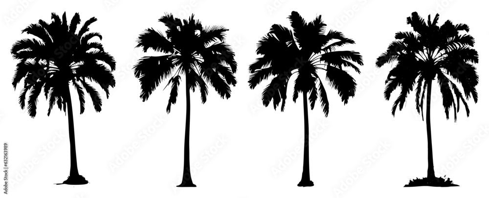 palm tree silhouette illustration set isolated on white, decorative element for poster, banner and background