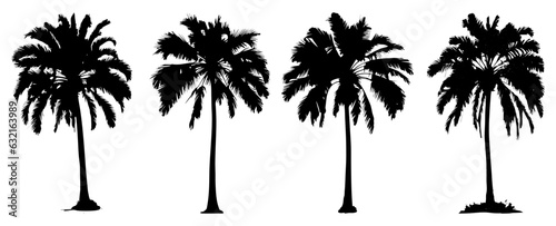 palm tree silhouette illustration set isolated on white, decorative element for poster, banner and background