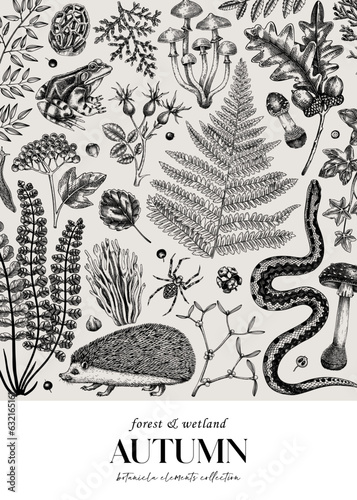 Autumn forest background. Hand drawn fallen leaves, ferns, autumn plants, mushrooms, woodland animals sketches. Botanical design template of card, invitation, cover