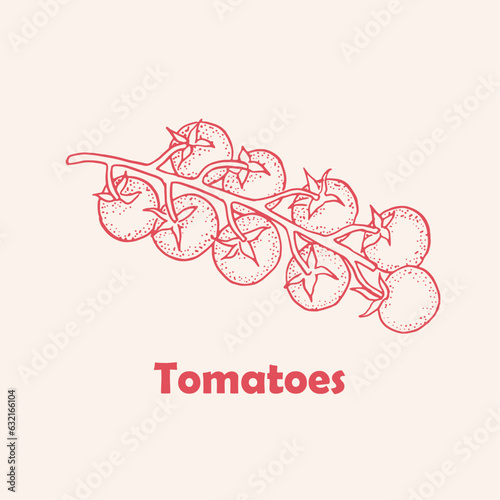 Tomatoes, tomato branch , logo , doodle ,line art, cherry tomatoes ,sketch, drawing, vector illustration, red vegetables , package logo