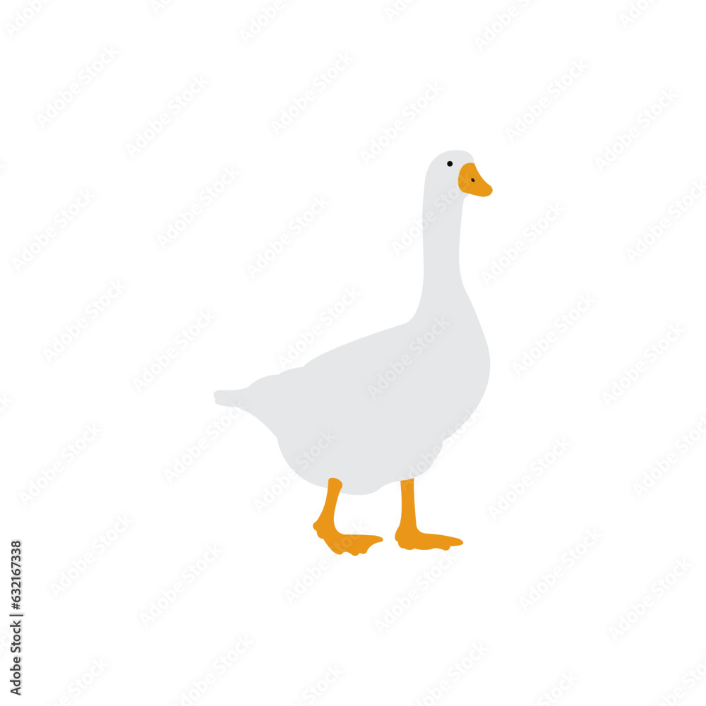 white goose isolated on white