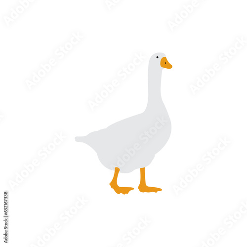 white goose isolated on white