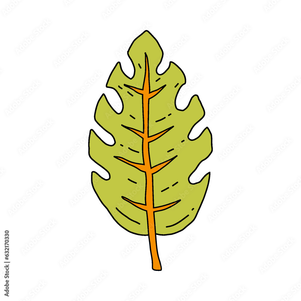 garden plant element, hand drawn style garden plant element, hand drawn style