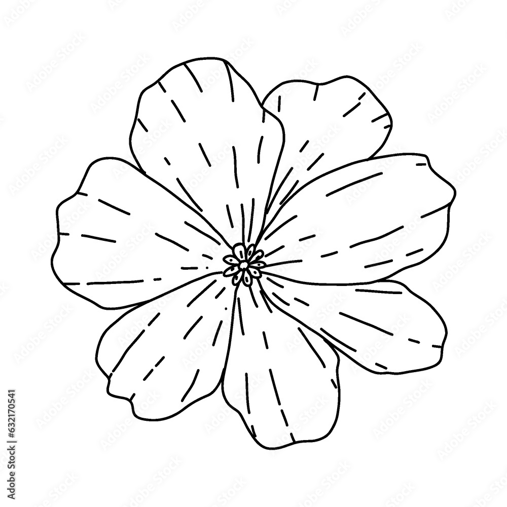 Fototapeta premium garden plant element, hand drawn style