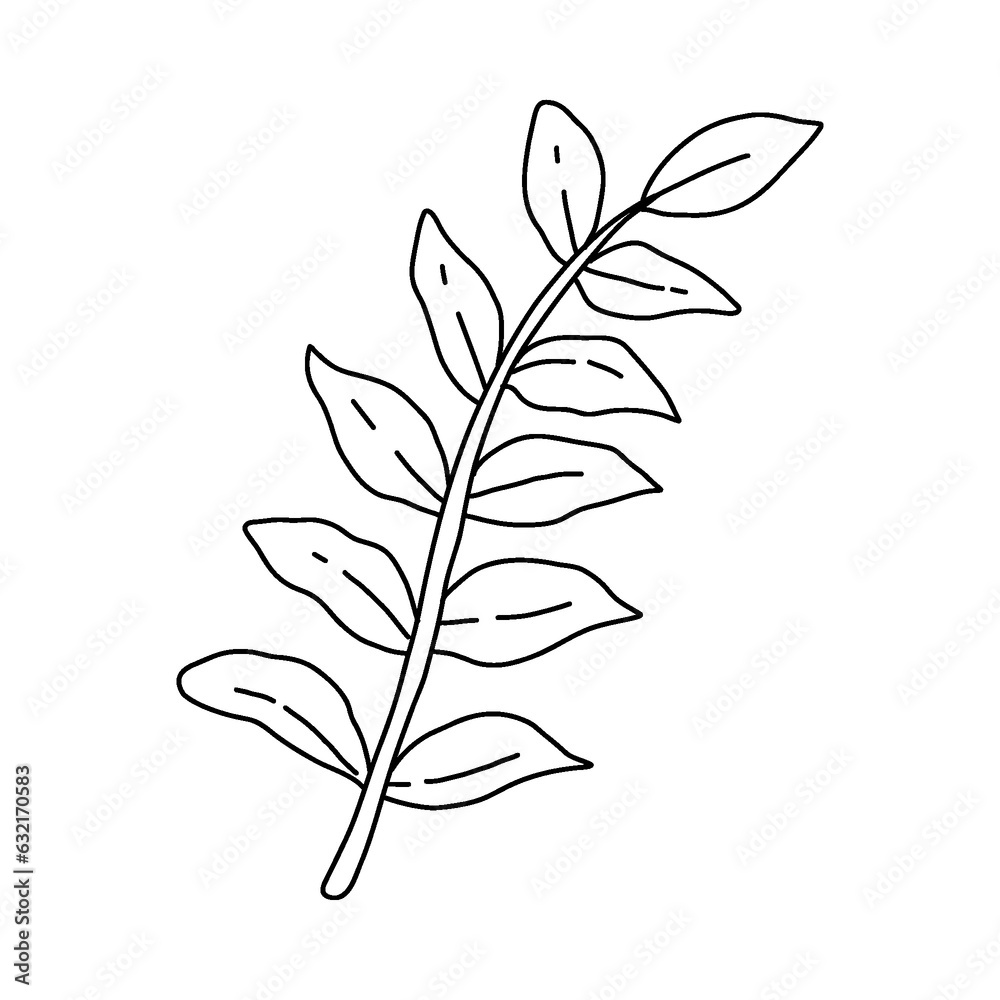 garden plant element, hand drawn style garden plant element, hand drawn style