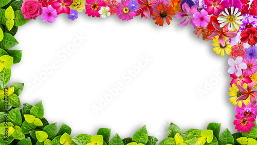 frame made of various kinds of flowers petals and green leaves, suitable for design 