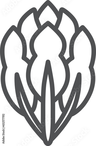 線画のシンプル野菜の単品アイコン　ほうれん草