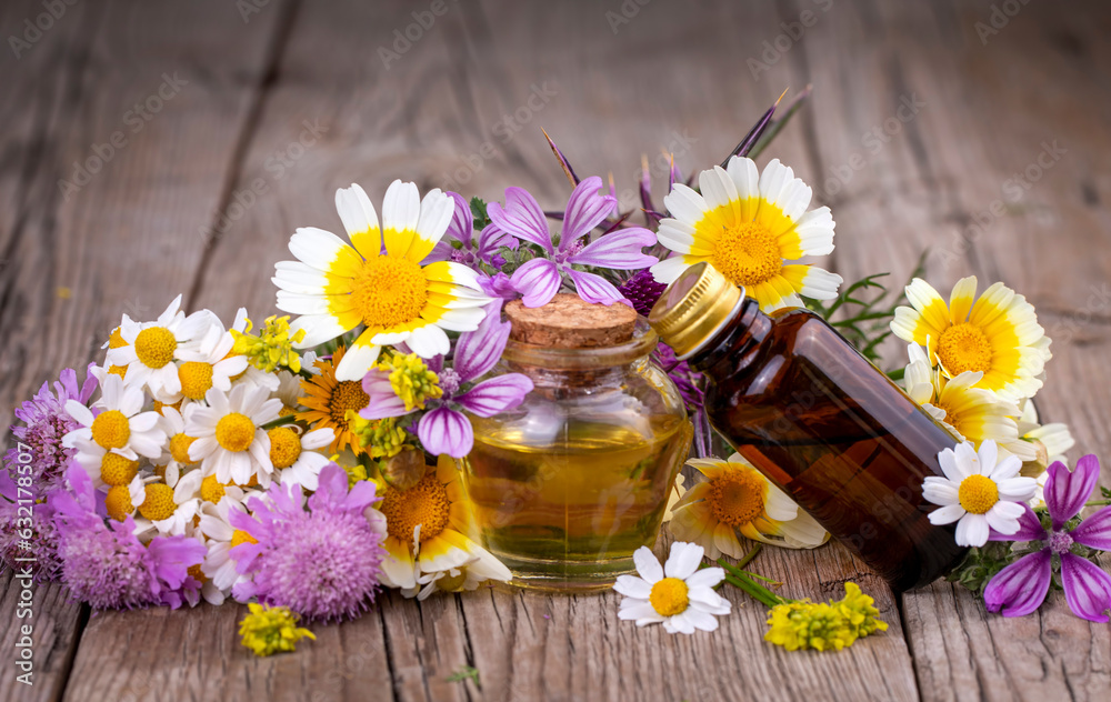 Essential oil in glass bottle with fresh chamomile flowers and variete herbal, beauty treatment. Essential oil in glass bottle with fresh chamomile flowers and variete herbal, beauty treatment.